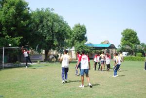 DSC 0035 (1) (1) (1)